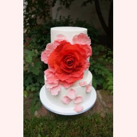 Торт "Роза кармен"