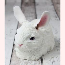 Новогодний Торт 2023 "Белый кролик"