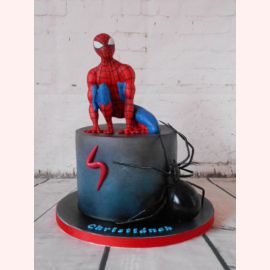 Торт "Человек-паук против паука"