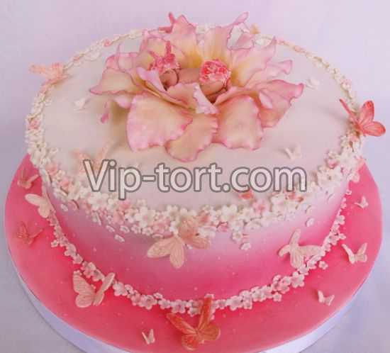 Торт на рождение девочки "Розовое сияние"