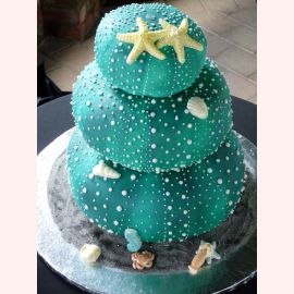Торт "Морские ракушки и звезды"