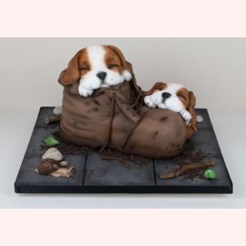 Торт "Дружные собачки в ботинке"